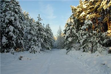 E3：手游《杀手狙击：阴影》宣传片发布 2021年内推出